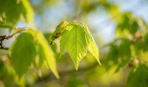 設立10期目を迎えることができました。🍂